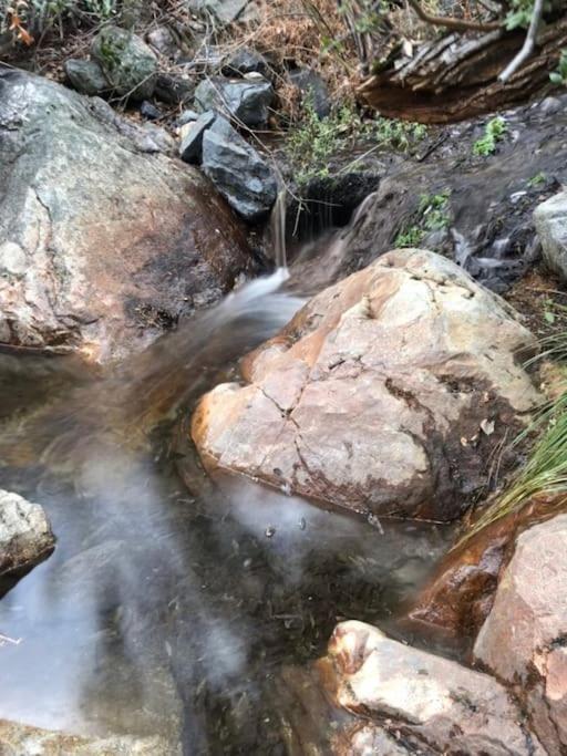 Willa Shirley Creek Retreat: A Mountain Oasis Wofford Heights Zewnętrze zdjęcie
